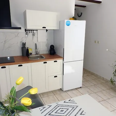 Apartment Ines- Stinjan *